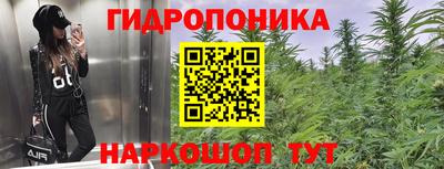 прущие грибы Малгобек