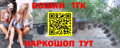 прущие грибы Малгобек