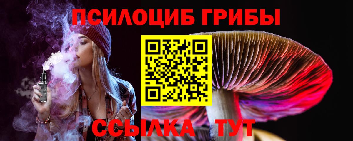 Псилоцибиновые грибы Magic Shrooms Углич