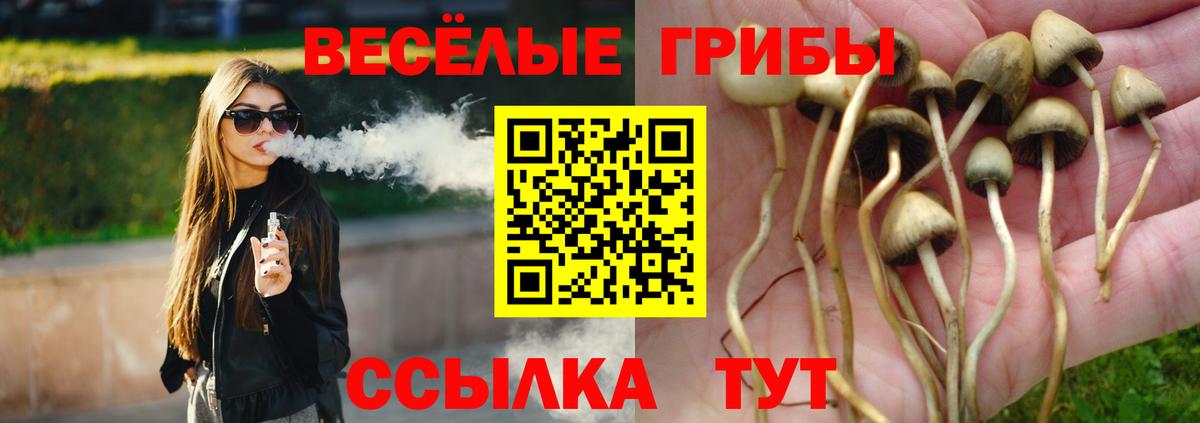 Галлюциногенные грибы Psilocybine cubensis  Вход с VPN  Углич 